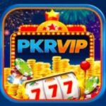 PKR VIP GAME LOGO