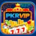PKR VIP GAME LOGO