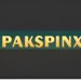 pakspinx game icon