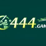 c444 game icon