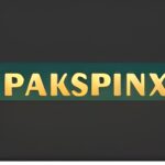 pak spin x game icon