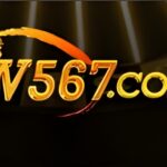 w567 game icon