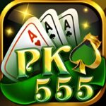 pk 555 game icon